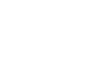 logo di exsensus